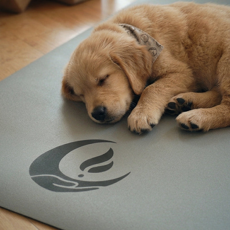 Welpe schläft auf einer grauen Luterra Yogamatte